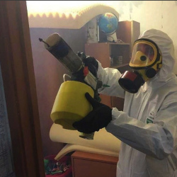Уничтожение клопов в квартире. Почеп